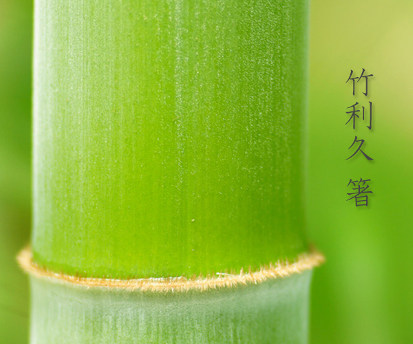 割り箸 竹利久箸