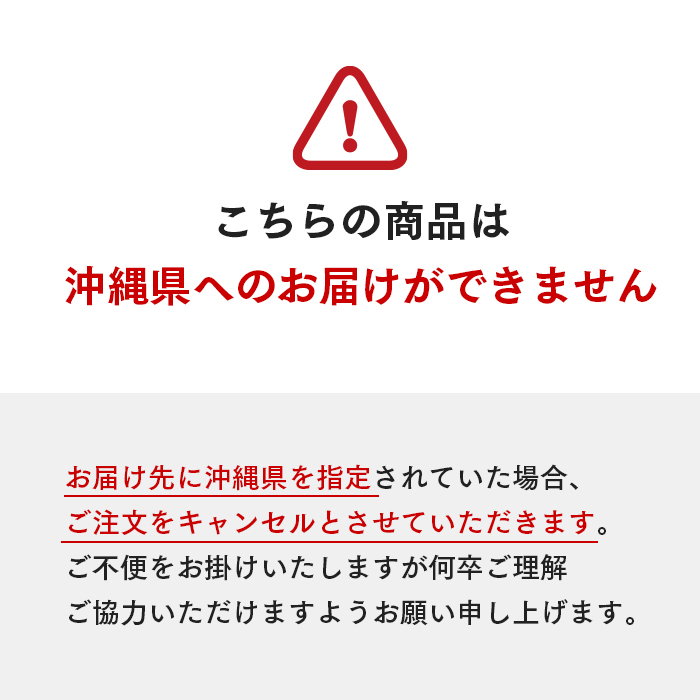 イワタニ カセットガス アウトドア トーチバーナーII CB-TC-ODOR