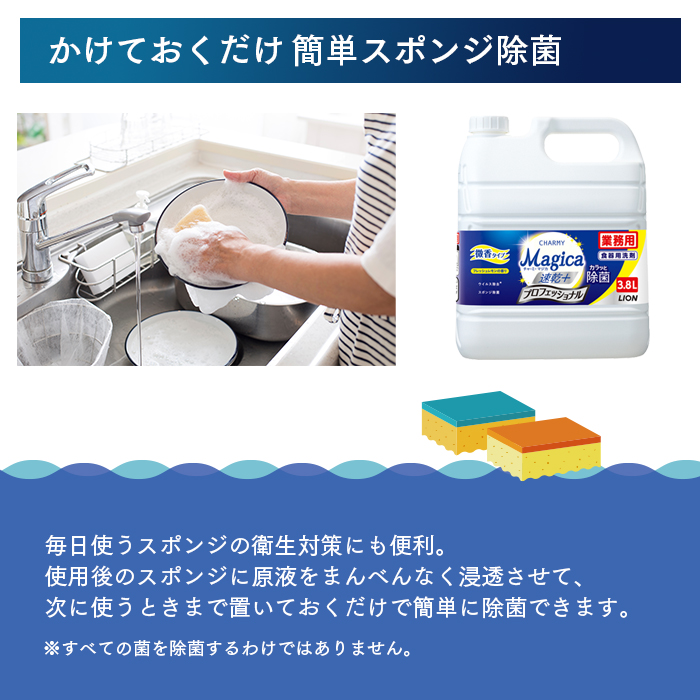 チャーミーマジカ 速乾プラス 3.8L プロフェッショナル フレッシュレモンの香り 詰め替え容器セット