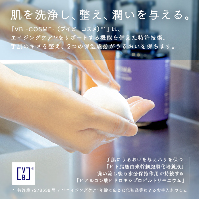 アロマプレミアム ハンドウォッシュ 1本 紙おしぼり8本セット VB COSME
