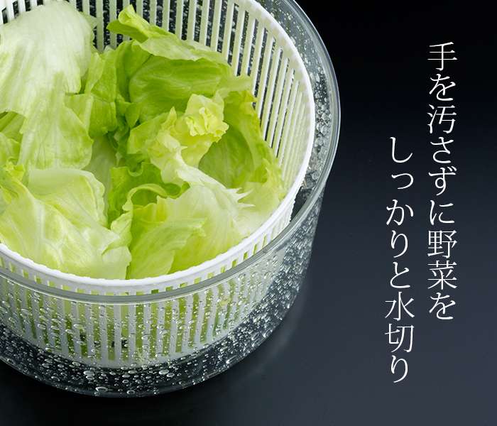 バリバリサラダ M