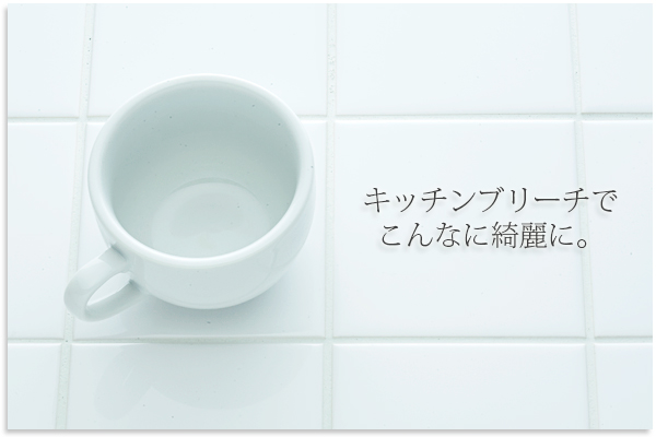 キッチン用 除菌漂白剤 e-style キッチンブリーチ 5kg