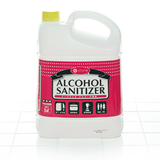 業務用　e-style　アルコールサニタイザー　5L