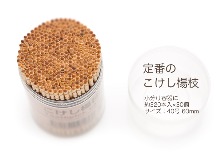 つまようじ e-style こけし楊枝