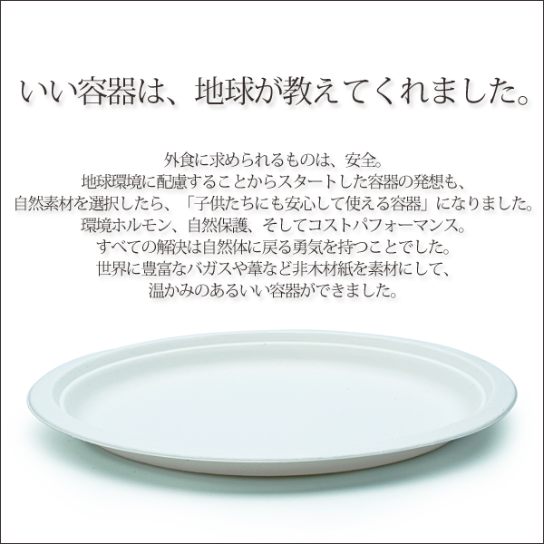 紙皿 モールド丸皿260mm