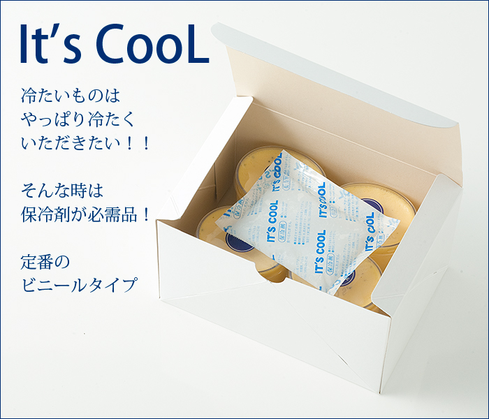 保冷剤 300グラム It's Cool(イッツクール) I-300 1ケース(60入)