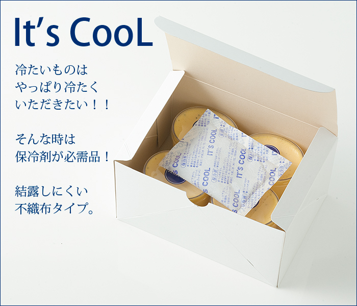 保冷剤 500グラム It's Cool(イッツクール) I-500F 不織布 1ケース(30入)