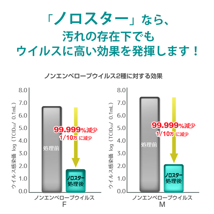 業務用 ニイタカ ノロスター