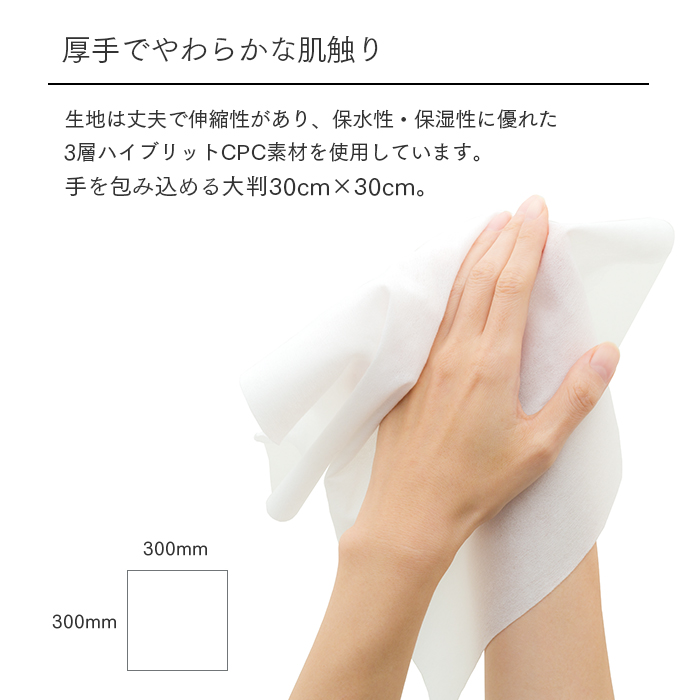 紙おしぼり HAND&BODY (HAND)