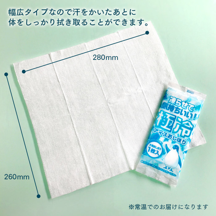 大判紙おしぼり 極冷アイスおしぼり ミントの香り ケース(600本)
