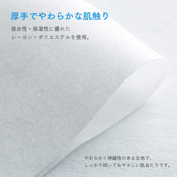 紙おしぼり ハンドアンドボディ L (HAND&BODY L)